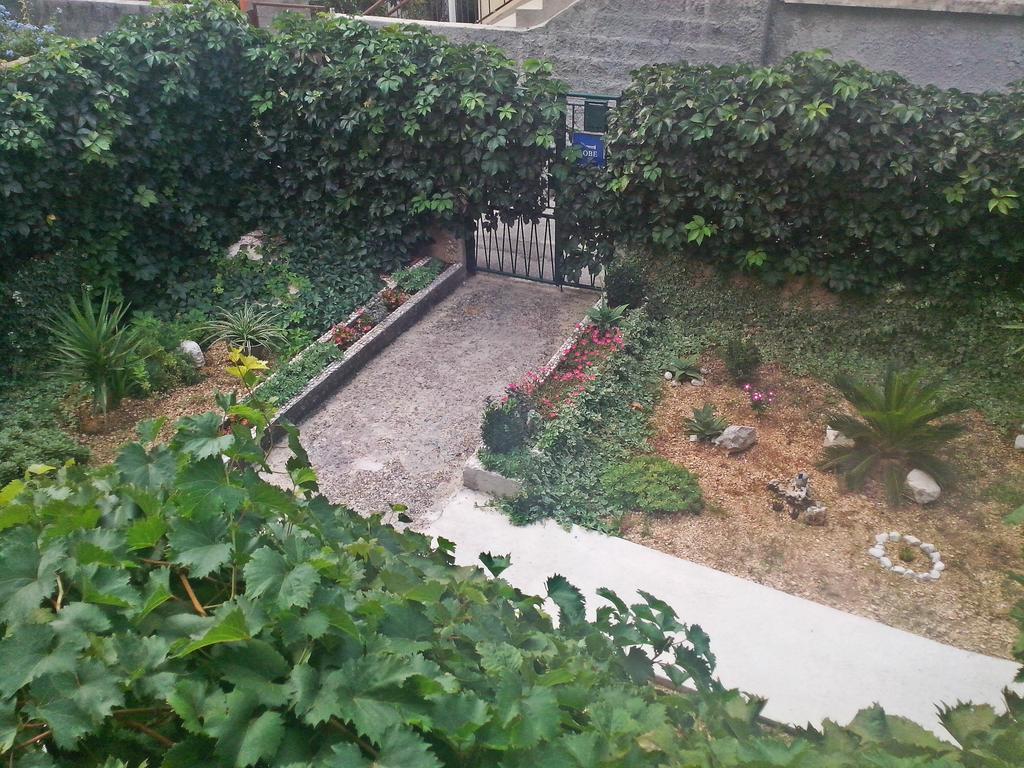 Apartments Fanito 마카르스카 객실 사진